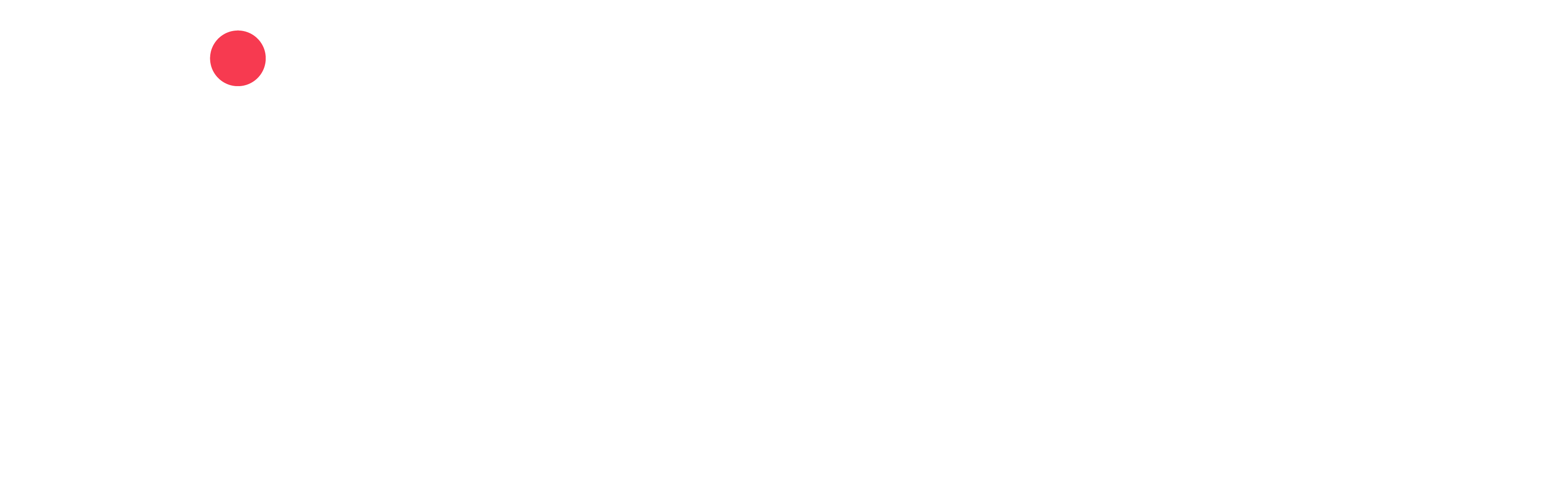 Fizjoplus